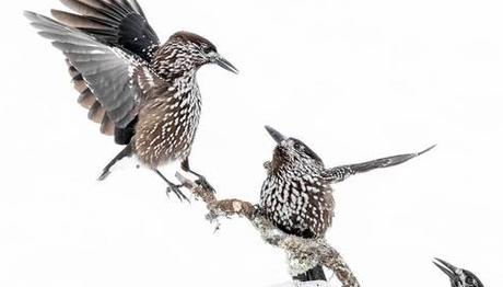 Örnek haber adı gelecek.