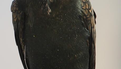 Örnek haber adı gelecek.