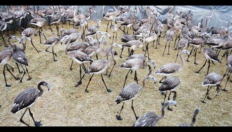 Örnek haber adı gelecek.