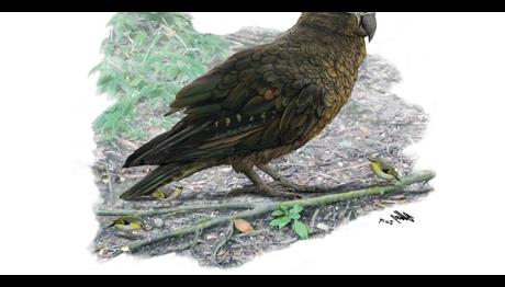 Örnek haber adı gelecek.