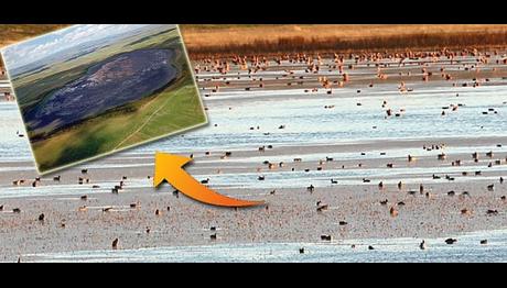 Kuyucak Gölü Kuş Cenneti tamamen kurudu!