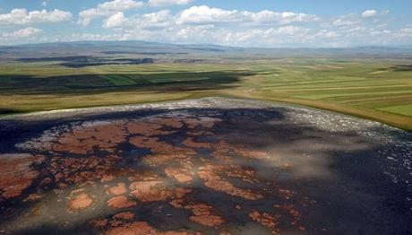 Örnek haber adı gelecek.