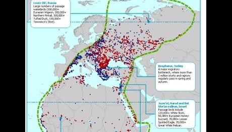 Örnek haber adı gelecek.