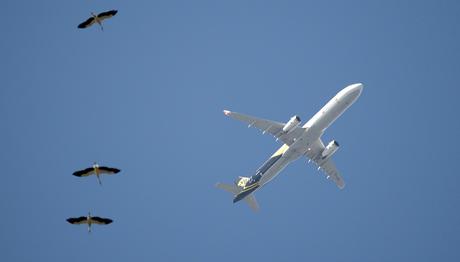 Örnek haber adı gelecek.