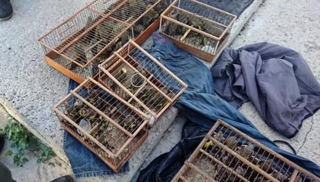 132 Bin Liralık Kuş Avı Cezası