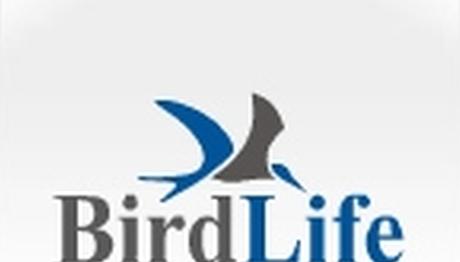 Örnek haber adı gelecek.