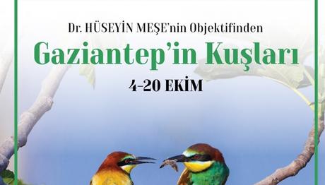GAZİANTEP İN KUŞLARI Sergisi.