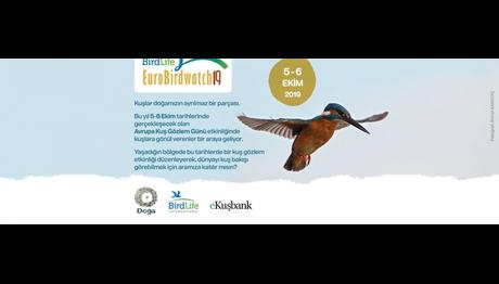 BirdLife EuroBirdwatch19