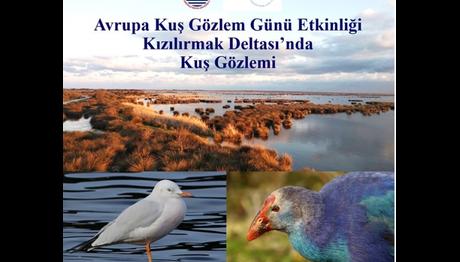 KIZILIRMAK DELTASI NDA KUŞ GÖZLEMİ 	