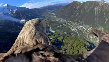 Kartal Victor un kuş bakışı çekimleri iklim değişikliğine dikkat çekiyor 
