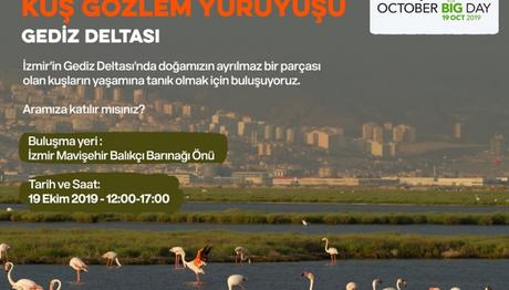 Gediz Deltası Kuş Gözlem Yürüyüşü 