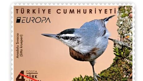 Anadolu Sıvacısı PTT'ye Ödül Getirdi