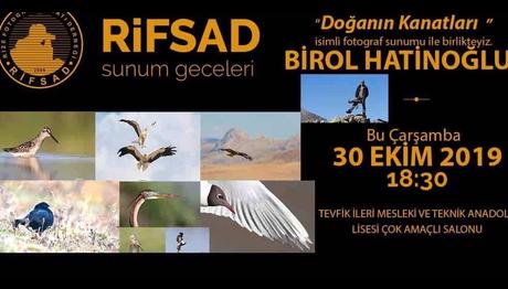 DOĞA NIN KANATLARI 