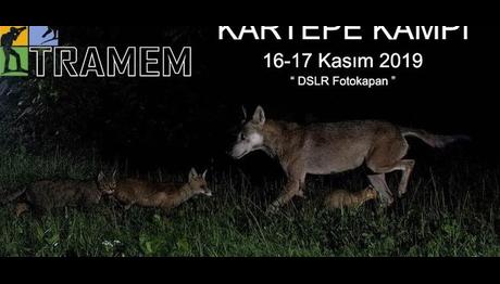 TRAMEM 2019 KARTEPE KAMPI