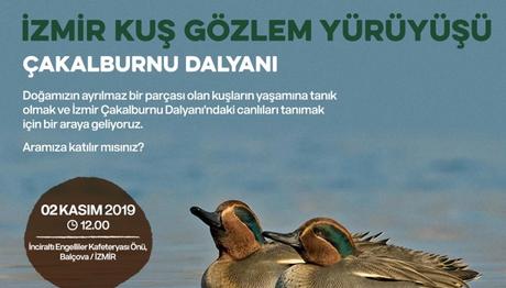 İzmir Kuş Gözlem Yürüyüşü 