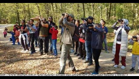 Kuş Gözlemcileri Ormanya'da Buluştu