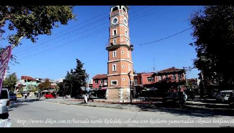 Bursada Tarihi Kuledeki Çalışma İçin Kuşların Yumurtadan Çıkması Beklenecek