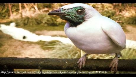 Örnek haber adı gelecek.