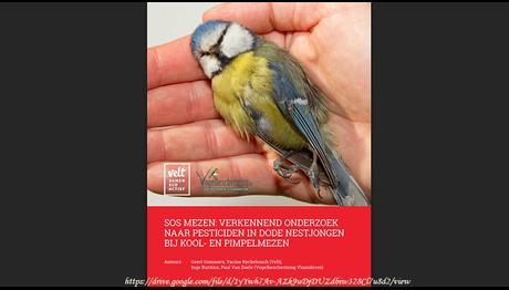 Ölü Kuşların Yuvası, DDT Dahil Olmak Üzere 36 Farklı Pestisit İçeriyor