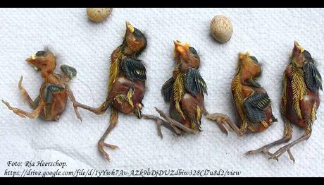 Örnek haber adı gelecek.