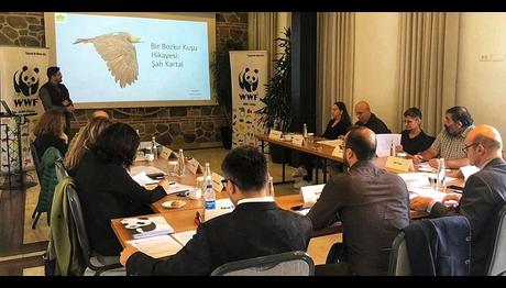 WWF Türkiye'de desteklenen projeler belli oldu