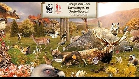 Örnek haber adı gelecek.