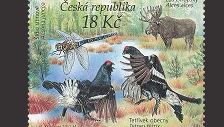 Örnek haber adı gelecek.