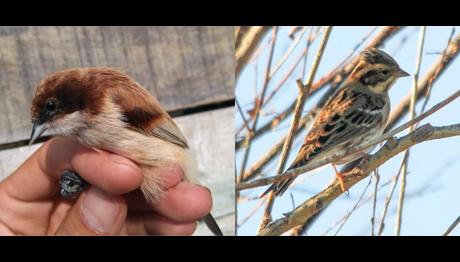 Örnek haber adı gelecek.