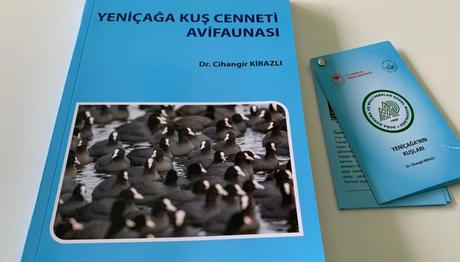 YENİÇAĞA KUŞ CENNETİ AVİFAUNASI