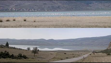 Denizli'den haber var