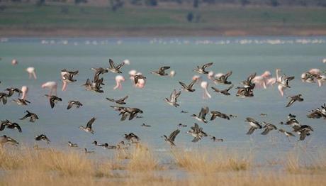 Örnek haber adı gelecek.