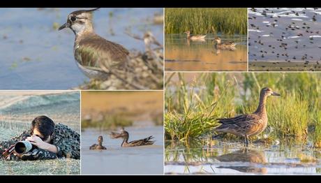 Örnek haber adı gelecek.
