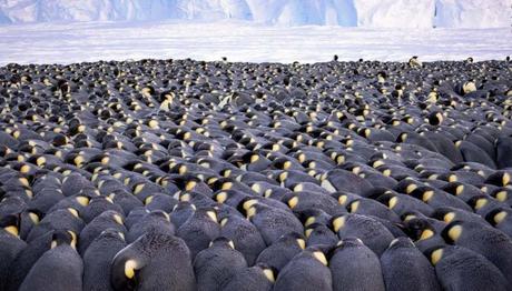 Örnek haber adı gelecek.