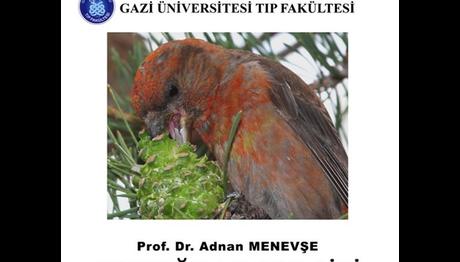 Fotoğraf Sergisi-KUŞLAR