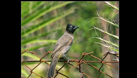 Örnek haber adı gelecek.