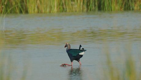 Örnek haber adı gelecek.