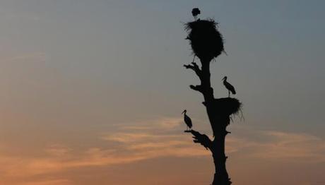 Örnek haber adı gelecek.