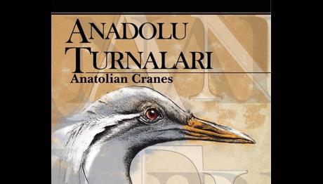 Anadolu Turnaları kitabı çıktı!
