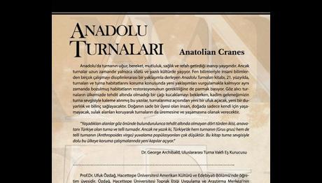 Örnek haber adı gelecek.