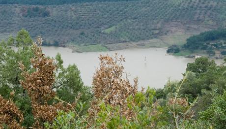 Örnek haber adı gelecek.