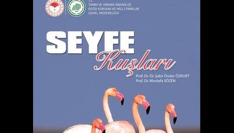 ''SEYFE KUŞLARI'' kitabı hazır..
