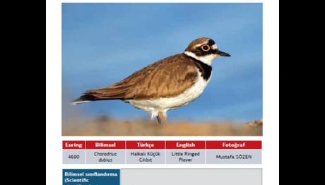 Örnek haber adı gelecek.