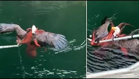 Örnek haber adı gelecek.