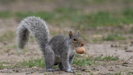 Örnek haber adı gelecek.