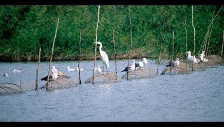 Örnek haber adı gelecek.