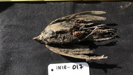 Örnek haber adı gelecek.