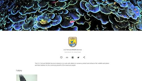 Kuş Resim Sanatını Yücelten L. A. Fuerte Koleksiyonu