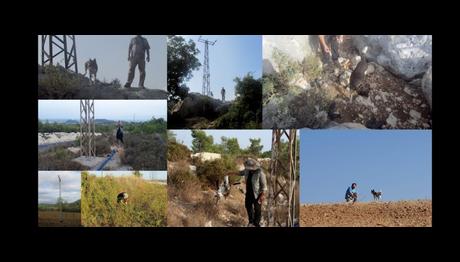 Adana ve Mersin Bölgesinde 2019 Sonbahar Göç Döneminde Elektrik Hatlarına Bağlı Ölümlerle İlgili Araştırma