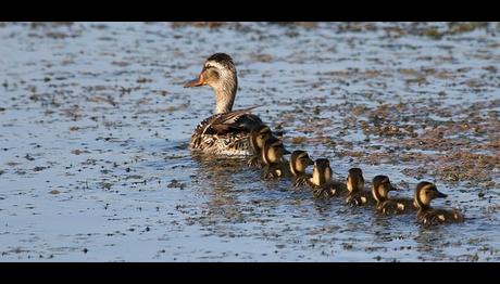 Örnek haber adı gelecek.