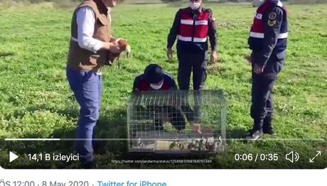 Manisa Köprübaşı'da Angıt Ailesi Jandarma Tarafından Kurtarıldı